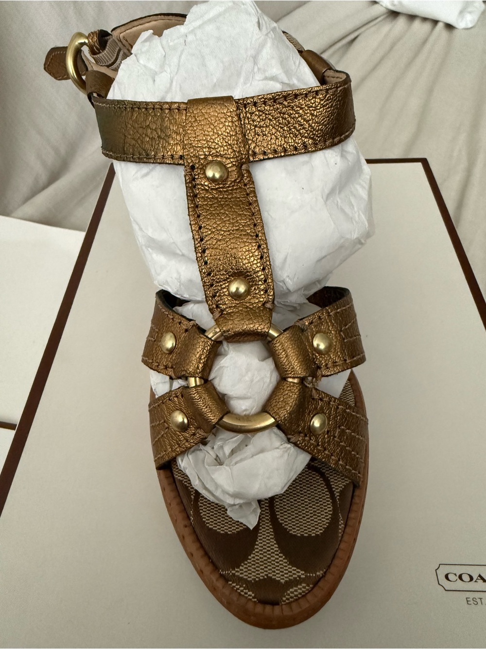 Coach Mayra Metallic Gold Wedge—Bronze—Wooden Heel